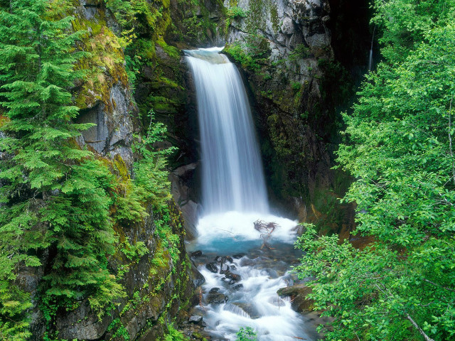 Waterfall man standing water forest free wallpaper - medium preview image
