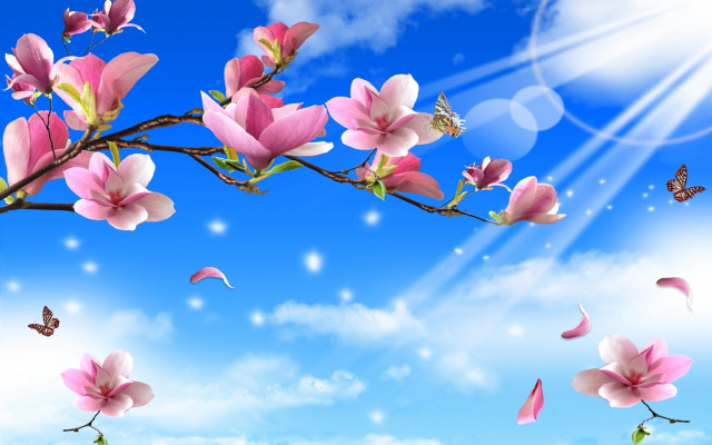 Pink flowers butterflies sky clouds free wallpaper - medium preview image