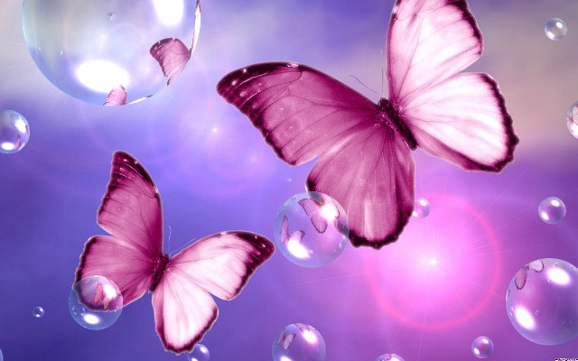 Butterflies bubbles flying purple background free wallpaper - medium preview image