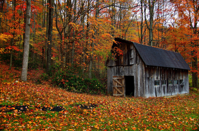 Barn woods fall leaves fire free wallpaper - medium preview image