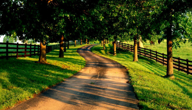 Dirt road fence trees grass #3 free wallpaper - medium preview image