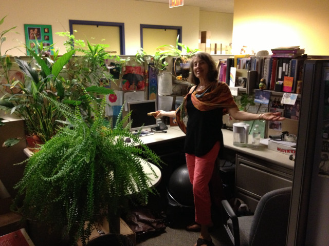 Woman office plant corner computer free wallpaper - medium preview image