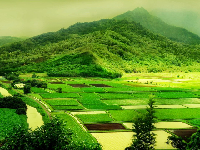 Green landscape mountains fields cloudy free wallpaper - medium preview image