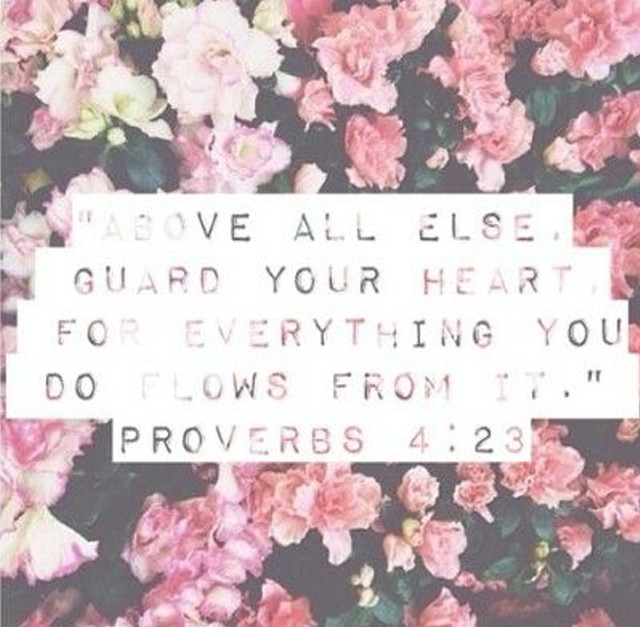 Flowers bible verse pink sakura free wallpaper - medium preview image