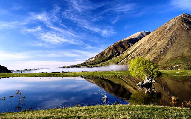 Lake mountains green field tree #2 free wallpaper - medium preview image
