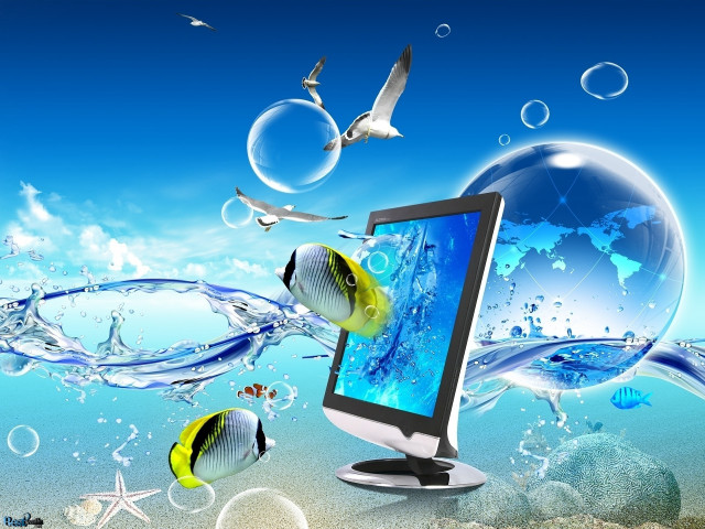 Computer monitor desk fish bubbles #4 free wallpaper - medium preview image