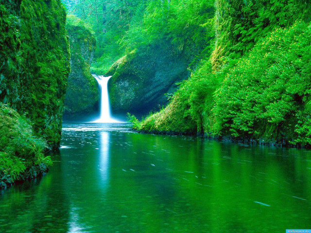 Waterfall green forest stream nature #6 free wallpaper - medium preview image