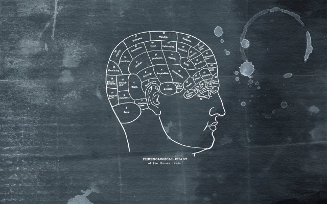 Brain map drawing head words free wallpaper - medium preview image