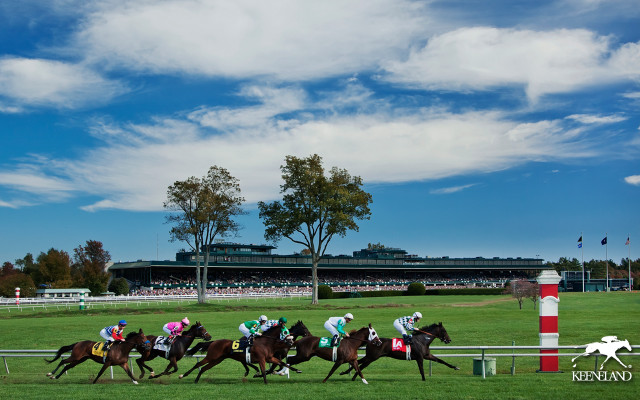 Horses racing track sky stadium free wallpaper - medium preview image