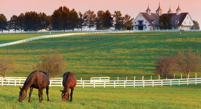 Horses grazing fence house landscape free wallpaper - medium preview image
