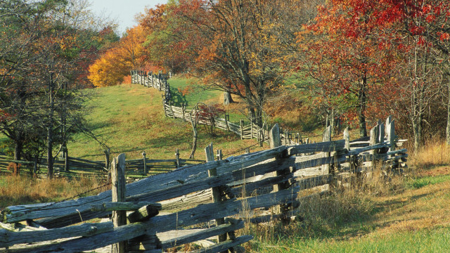Wooden fence field trees hillside free wallpaper - medium preview image