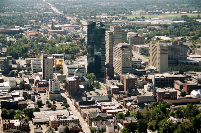 City tall buildings trees skyline free wallpaper - medium preview image