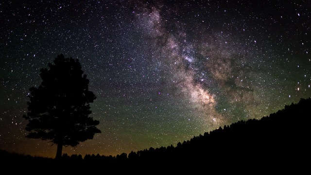 Tree night sky stars milky #3 free wallpaper - medium preview image