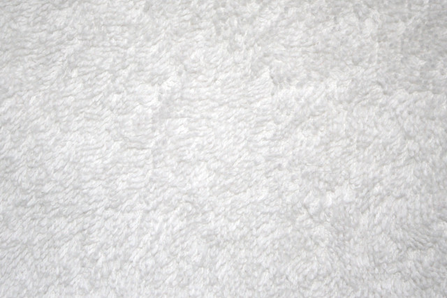 White background black white cats free wallpaper - medium preview image
