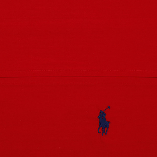 Red wall blue horse person free wallpaper - medium preview image