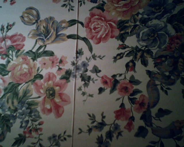Floral wallpaper bird flowers wall free wallpaper - medium preview image