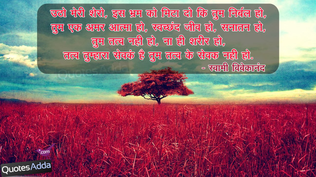 Tree field quote in the free wallpaper - medium preview image