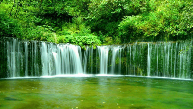 Waterfall green forest fish swimming free wallpaper - medium preview image