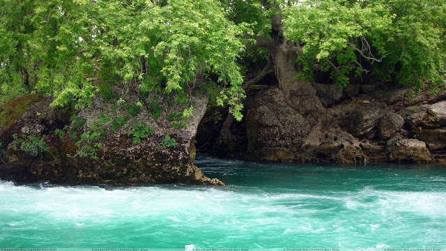 River rock formation trees growing free wallpaper - medium preview image