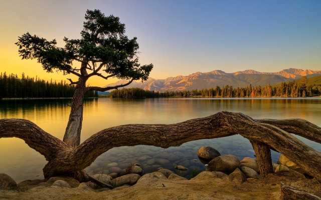 Tree lake mountains sunset dawn #3 free wallpaper - medium preview image