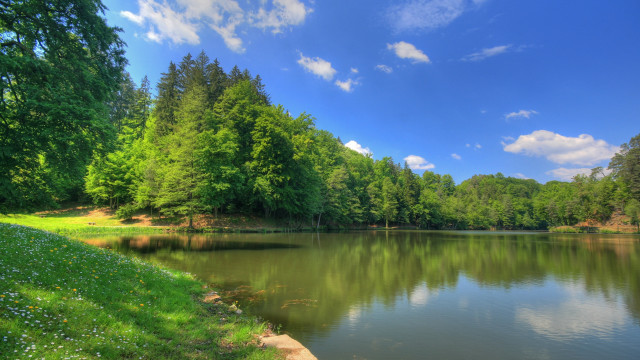 Lake forest hill clouds flower free wallpaper - medium preview image