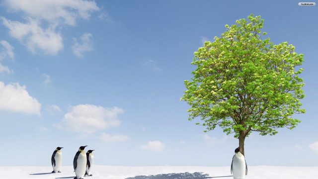 Three penguins tree snow sky free wallpaper - medium preview image