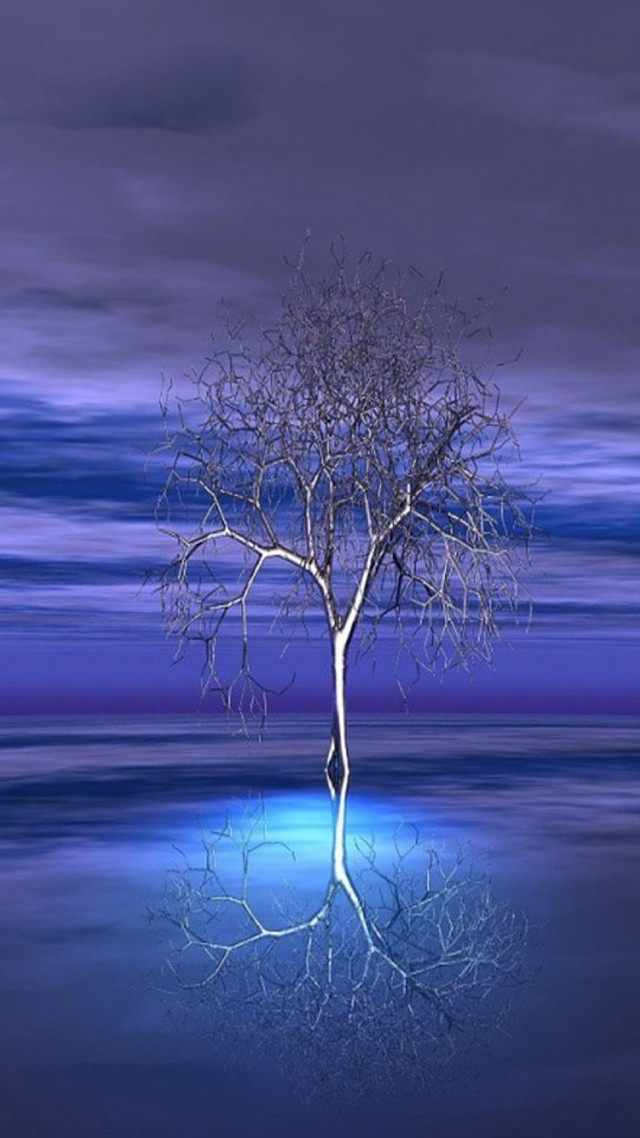 Lone tree reflection water nighttime free wallpaper - medium preview image