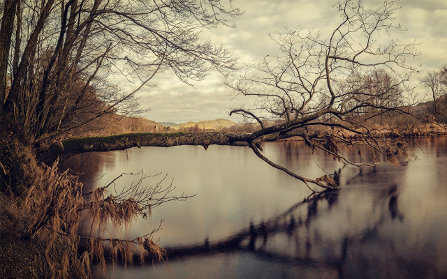 Tree water mountain cloudy sky free wallpaper - medium preview image