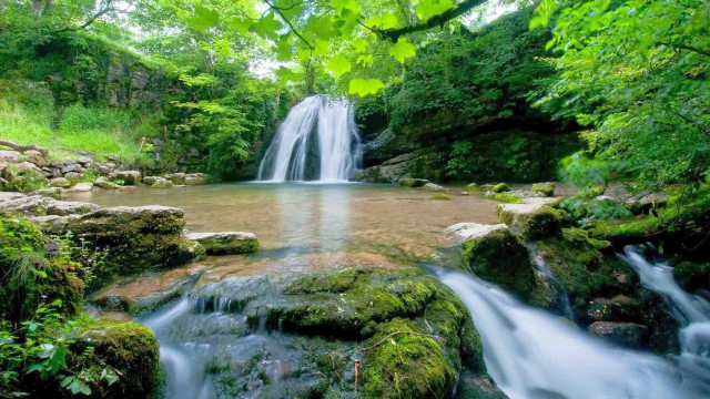 Waterfall forest stream rocks trees free wallpaper - medium preview image