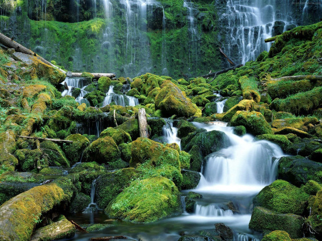 Waterfall moss rocks fallen tree #2 free wallpaper - medium preview image