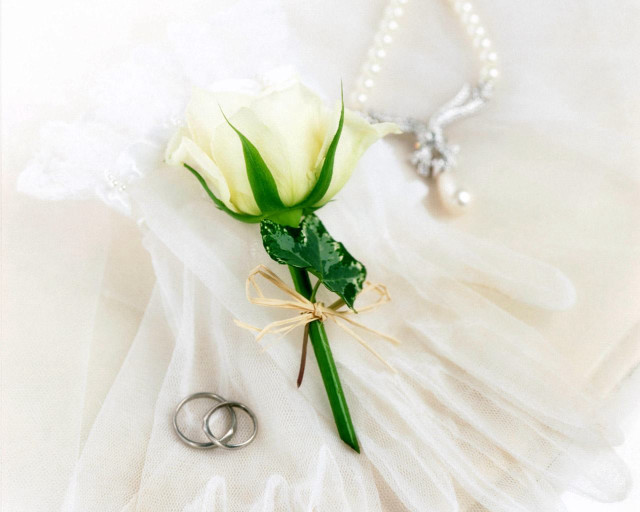 White rose wedding rings pearl free wallpaper - medium preview image