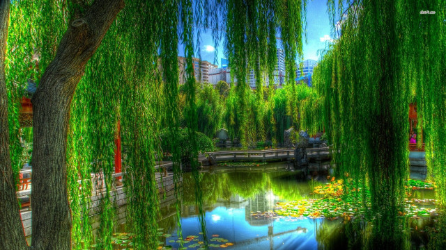 Pond bridge trees building sky free wallpaper - medium preview image