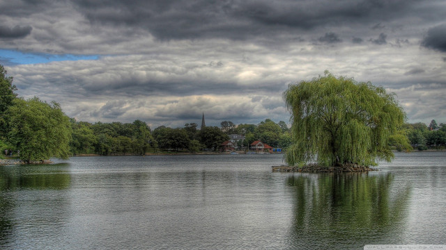 Tree lake cloudy sky church free wallpaper - medium preview image