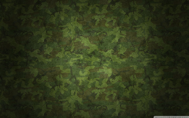Green camouflage wallpaper leaves pattern free wallpaper - medium preview image