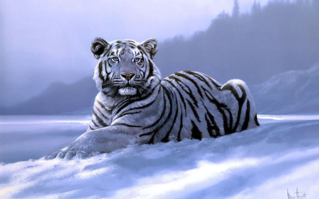 White tiger snow mountain foggy free wallpaper - medium preview image