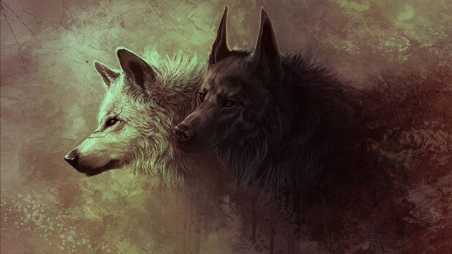 Two wolfs facing red brown free wallpaper - medium preview image