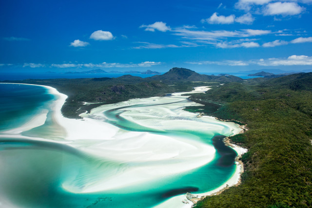Beach water trees blue sky free wallpaper - medium preview image
