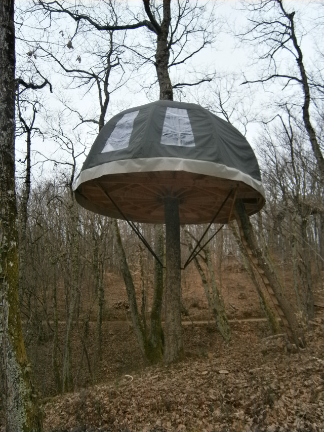 Tree house woods tarp ladder free wallpaper - medium preview image