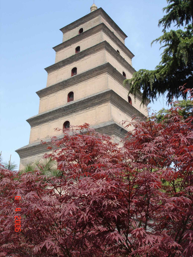Tall tower clock surrounded trees free wallpaper - medium preview image