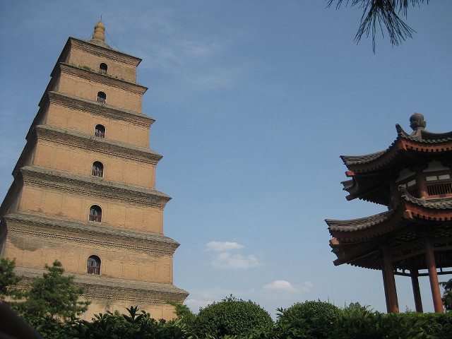 Tall tower clock tree bell free wallpaper - medium preview image