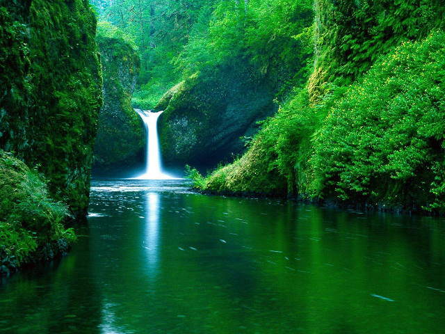 Waterfall green forest stream nature #10 free wallpaper - medium preview image