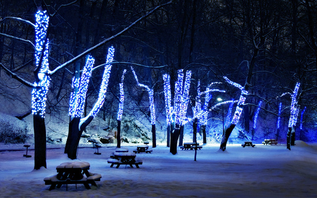 Snowy park bench lights trees free wallpaper - medium preview image