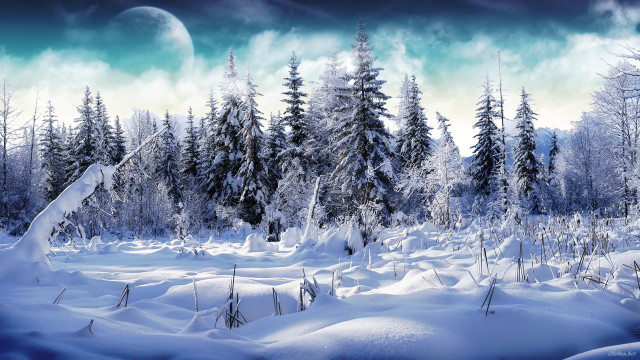 Snowy landscape trees moon sky #2 free wallpaper - medium preview image