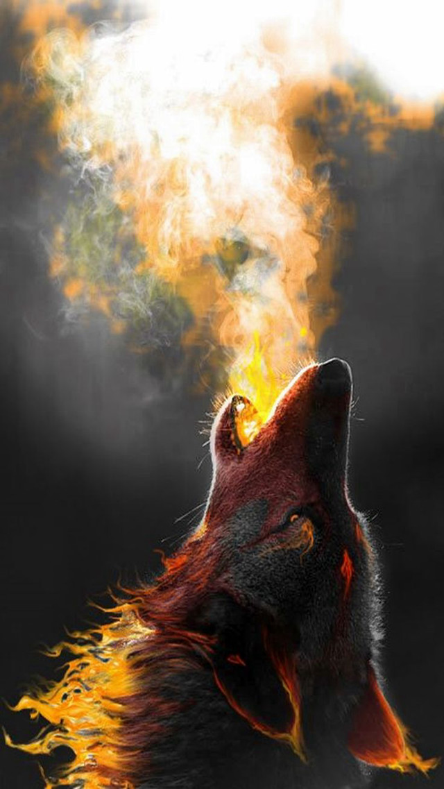 Wolf fireball head open mouth free wallpaper - medium preview image