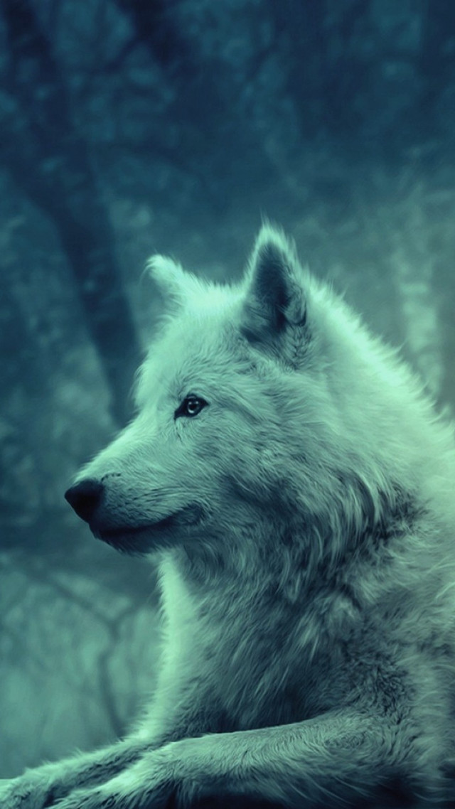 White wolf woods looking distance free wallpaper - medium preview image