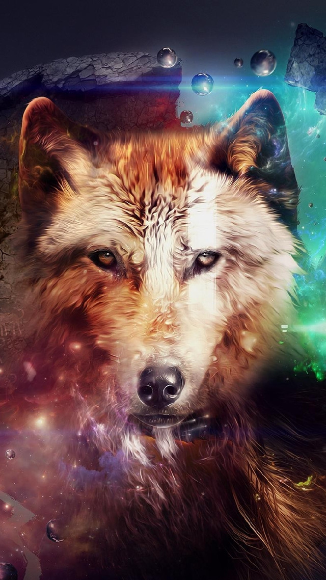 Wolf colorful background space stars free wallpaper - medium preview image