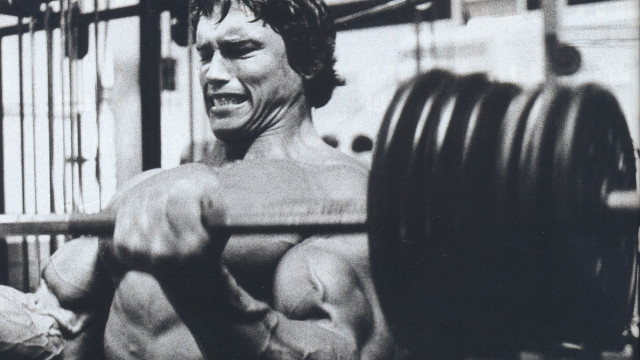 Smiling man barbell gym rack free wallpaper - medium preview image