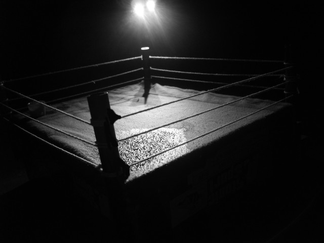 Boxing ring night light referee free wallpaper - medium preview image