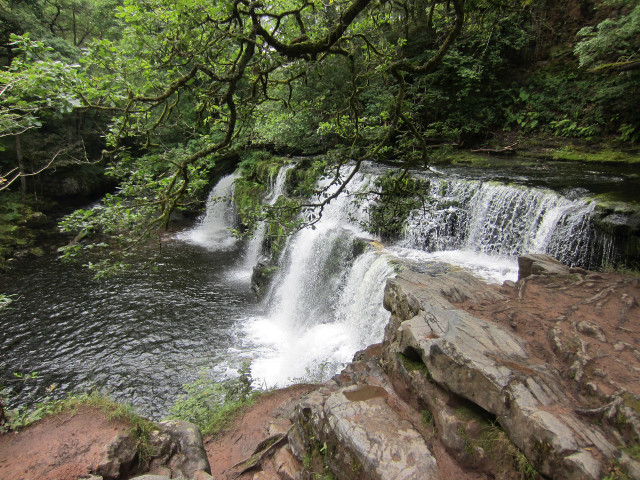 Waterfall forest rocks trees stream #14 free wallpaper - medium preview image
