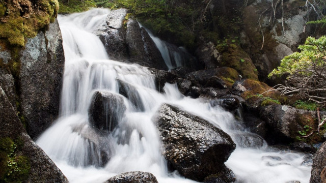 Waterfall forest rocks trees water free wallpaper - medium preview image